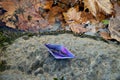 Autumn background with a purple origami paper boat in a rock with autumn leaves Royalty Free Stock Photo