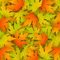 Autumn background with realistic maple leaves