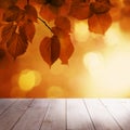 Autumn Background with Red Linden Leaves Royalty Free Stock Photo