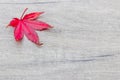 Autumn background, red maple leaf top left on wooden plate, stone plate Royalty Free Stock Photo