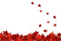 Red maple leaves falling Royalty Free Stock Photo