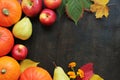 Autumn background with ripe pumpkins, leaves, apples and pears Royalty Free Stock Photo