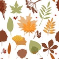 Autumn background. Seamless abstract pattern with autumn various leaves and rowan.