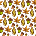 Autumn background. Seamless pattern with acorns and maple, oak leaves. Hand drawn vector Royalty Free Stock Photo