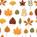 Autumn background. Seamless pattern with autumn various leaves.