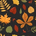 Autumn background. Seamless pattern with autumn various leaves and rowan.