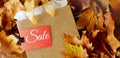 Autumn background with shopping bag, sale tag and leaves Royalty Free Stock Photo