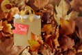 Autumn background with shopping bag, sale tag and leaves Royalty Free Stock Photo