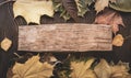 Autumn background with signboard, orange leaf on old grunge wood deck, copy place for inscription, Top view, tablet for text