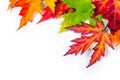Autumn Background Royalty Free Stock Photo