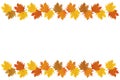 Autumn background. square marketing or halloween or thanksgiving vector frrame.