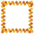 Autumn background. square marketing or halloween or thanksgiving vector frrame.