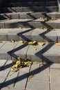 Autumn background on the stairs Royalty Free Stock Photo