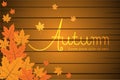 Autumn background template Royalty Free Stock Photo