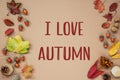 Autumn Background with Text I Love Autumn