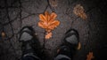 Autumn foliage at the feet of a man,golden autumn background.