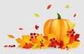 Autumn background. Thanksgiving vector banner with pumpkin gold red leaves isolated on transparent backdrop. Falling Royalty Free Stock Photo