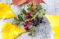 Autumn background. Theme of the harvest festival. Festive autumn decor of hawthorn berries, chokeberry berries and leaves on a