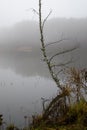 Autumn background with thick mist over a lake