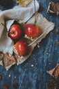 Autumn background top view. Delicious caramel apples with twig sticks and autumn decoration Royalty Free Stock Photo