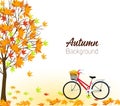 Autumn background with a tree and a bicycle. Vector Royalty Free Stock Photo