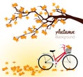 Autumn background with a tree and a bicycle. Vector Royalty Free Stock Photo