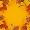 Autumn background, tree paper leaves, yellow backdrop, design for fall season sale banner, poster, thanksgiving day greeting cards Royalty Free Stock Photo