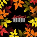 Autumn background. Vector illustration. Decorate with leaves for shopping sale or promo poster and frame leaflet or web Royalty Free Stock Photo