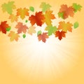 Autumn background