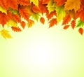 Autumn background vector template of orange and yellow maple leaves falling Royalty Free Stock Photo