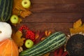 Autumn background with vegetables on wooden surface Royalty Free Stock Photo
