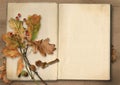 Autumn background. Vintage album with leaves
