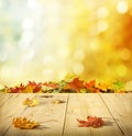 Autumn background Royalty Free Stock Photo