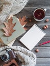 Autumn background wooden table knitted shawl, camera, oak leaves notepad Royalty Free Stock Photo