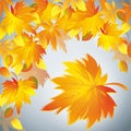 Autumn background,yellow leaf - place for text