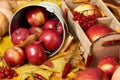 Autumn background from yellow leaves, apples, pumpkin. Fall season, eco food and harvest concept Royalty Free Stock Photo