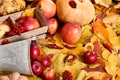 Autumn background from yellow leaves, apples, pumpkin. Fall season, eco food and harvest concept Royalty Free Stock Photo