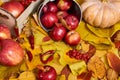 Autumn background from yellow leaves, apples, pumpkin. Fall season, eco food and harvest concept Royalty Free Stock Photo