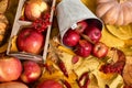 Autumn background from yellow leaves, apples, pumpkin. Fall season, eco food and harvest concept Royalty Free Stock Photo