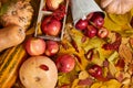 Autumn background from yellow leaves, apples, pumpkin. Fall season, eco food and harvest concept Royalty Free Stock Photo