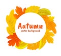 Autumn background. Yellow leaves circle frame. Oak and maple orange foliage render. Nature plants. Botanical wreath