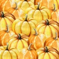 Autumn background. Yellow and orange pumpkins for Halloween, Thanksgiving Royalty Free Stock Photo