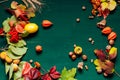 Autumn background yellow and Red leaves of berries fruits nuts fall Royalty Free Stock Photo