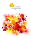 Autumn backgrounds