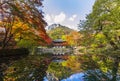 Autumn at Baekyangsa temple,South Korea Royalty Free Stock Photo