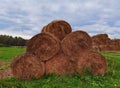 Autumn. Bale of hay in the field after harvesting straw. Royalty Free Stock Photo