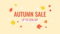 Autumn Banner for Social Medie with Special Discount Offer Royalty Free Stock Photo