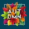 Autumn banner background with paper fall leaves. Vector illustration Royalty Free Stock Photo