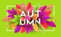 Autumn banner background with paper fall leaves. Vector illustration Royalty Free Stock Photo