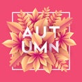 Autumn banner background with paper fall leaves. Vector illustration Royalty Free Stock Photo